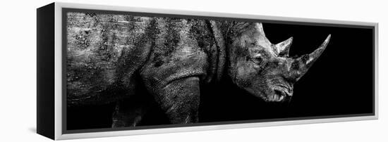 Safari Profile Collection - Rhino Black Edition III-Philippe Hugonnard-Framed Premier Image Canvas