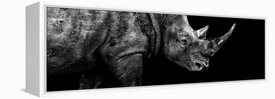 Safari Profile Collection - Rhino Black Edition III-Philippe Hugonnard-Framed Premier Image Canvas