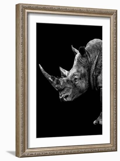 Safari Profile Collection - Rhino Black Edition IV-Philippe Hugonnard-Framed Photographic Print