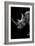 Safari Profile Collection - Rhino Black Edition IV-Philippe Hugonnard-Framed Photographic Print