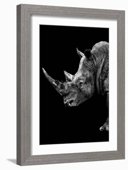 Safari Profile Collection - Rhino Black Edition IV-Philippe Hugonnard-Framed Photographic Print