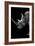 Safari Profile Collection - Rhino Black Edition IV-Philippe Hugonnard-Framed Photographic Print