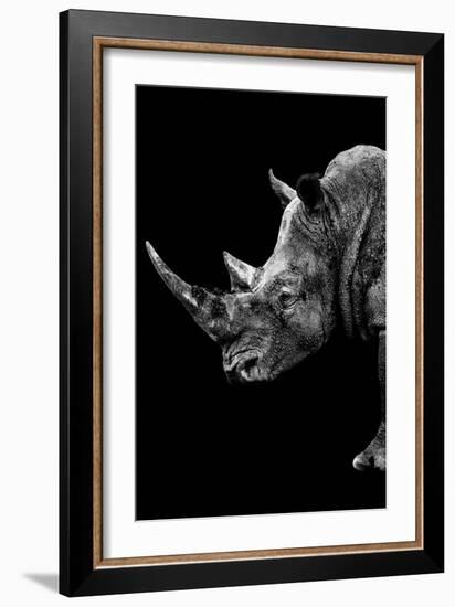 Safari Profile Collection - Rhino Black Edition IV-Philippe Hugonnard-Framed Photographic Print