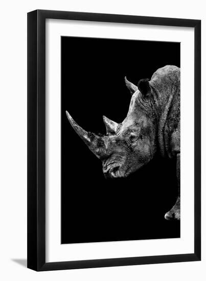 Safari Profile Collection - Rhino Black Edition IV-Philippe Hugonnard-Framed Photographic Print