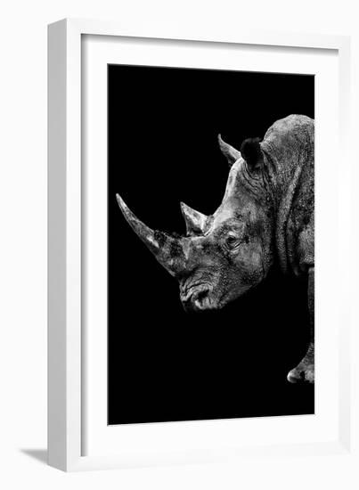 Safari Profile Collection - Rhino Black Edition IV-Philippe Hugonnard-Framed Photographic Print