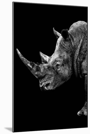 Safari Profile Collection - Rhino Black Edition IV-Philippe Hugonnard-Mounted Photographic Print
