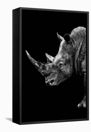 Safari Profile Collection - Rhino Black Edition IV-Philippe Hugonnard-Framed Premier Image Canvas