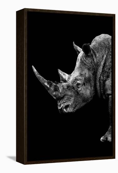 Safari Profile Collection - Rhino Black Edition IV-Philippe Hugonnard-Framed Premier Image Canvas