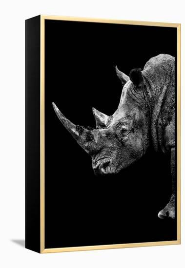 Safari Profile Collection - Rhino Black Edition IV-Philippe Hugonnard-Framed Premier Image Canvas