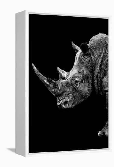 Safari Profile Collection - Rhino Black Edition IV-Philippe Hugonnard-Framed Premier Image Canvas