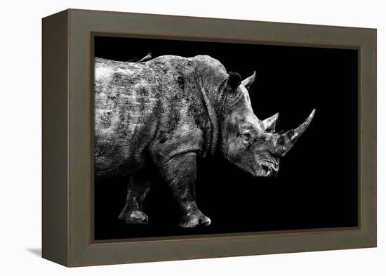 Safari Profile Collection - Rhino Black Edition-Philippe Hugonnard-Framed Premier Image Canvas