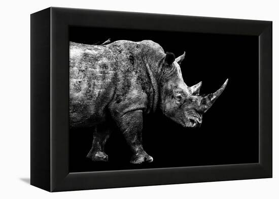 Safari Profile Collection - Rhino Black Edition-Philippe Hugonnard-Framed Premier Image Canvas