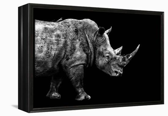Safari Profile Collection - Rhino Black Edition-Philippe Hugonnard-Framed Premier Image Canvas
