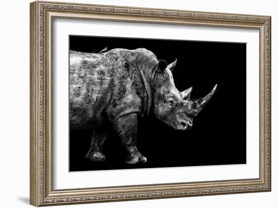 Safari Profile Collection - Rhino Black Edition-Philippe Hugonnard-Framed Photographic Print