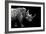 Safari Profile Collection - Rhino Black Edition-Philippe Hugonnard-Framed Photographic Print