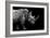 Safari Profile Collection - Rhino Black Edition-Philippe Hugonnard-Framed Photographic Print