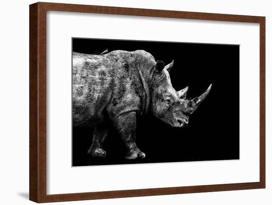 Safari Profile Collection - Rhino Black Edition-Philippe Hugonnard-Framed Photographic Print