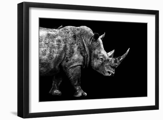 Safari Profile Collection - Rhino Black Edition-Philippe Hugonnard-Framed Photographic Print