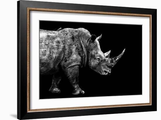 Safari Profile Collection - Rhino Black Edition-Philippe Hugonnard-Framed Photographic Print