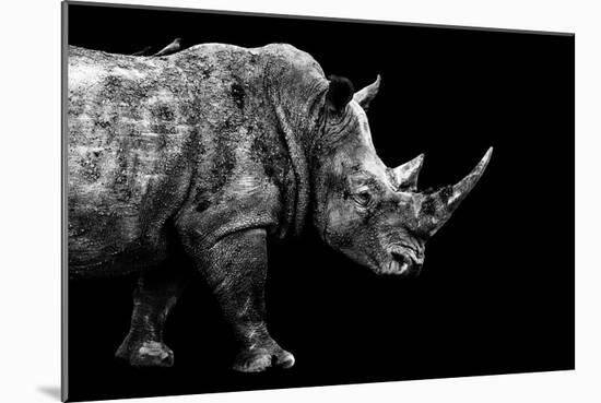 Safari Profile Collection - Rhino Black Edition-Philippe Hugonnard-Mounted Photographic Print