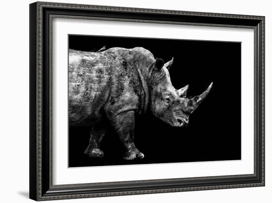 Safari Profile Collection - Rhino Black Edition-Philippe Hugonnard-Framed Photographic Print