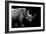 Safari Profile Collection - Rhino Black Edition-Philippe Hugonnard-Framed Photographic Print