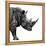 Safari Profile Collection - Rhino White Edition II-Philippe Hugonnard-Framed Premier Image Canvas