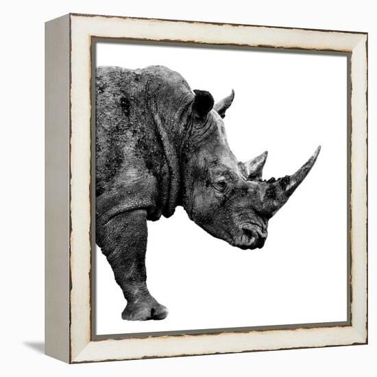 Safari Profile Collection - Rhino White Edition II-Philippe Hugonnard-Framed Premier Image Canvas