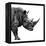 Safari Profile Collection - Rhino White Edition II-Philippe Hugonnard-Framed Premier Image Canvas