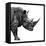 Safari Profile Collection - Rhino White Edition II-Philippe Hugonnard-Framed Premier Image Canvas