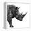 Safari Profile Collection - Rhino White Edition II-Philippe Hugonnard-Framed Premier Image Canvas