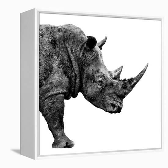 Safari Profile Collection - Rhino White Edition II-Philippe Hugonnard-Framed Premier Image Canvas