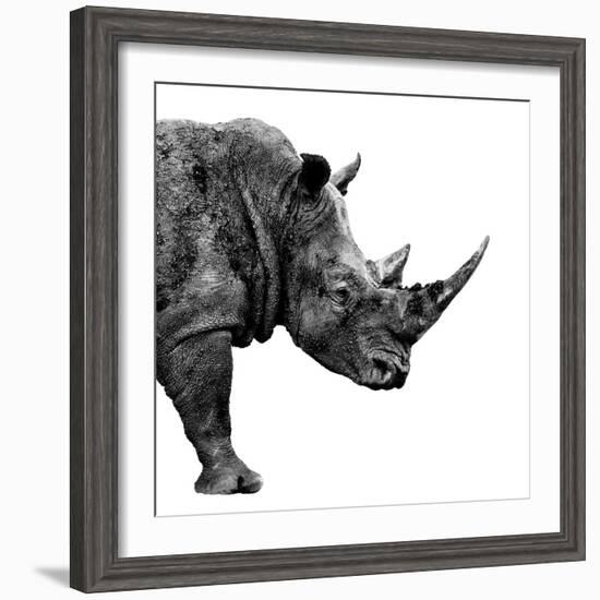 Safari Profile Collection - Rhino White Edition II-Philippe Hugonnard-Framed Photographic Print