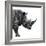 Safari Profile Collection - Rhino White Edition II-Philippe Hugonnard-Framed Photographic Print