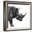 Safari Profile Collection - Rhino White Edition II-Philippe Hugonnard-Framed Photographic Print