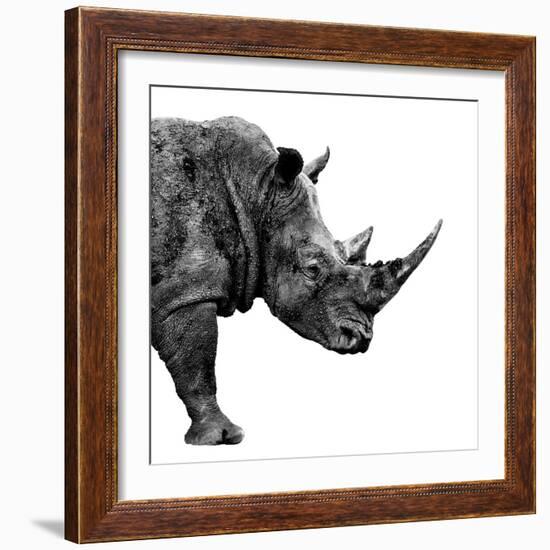 Safari Profile Collection - Rhino White Edition II-Philippe Hugonnard-Framed Photographic Print