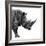 Safari Profile Collection - Rhino White Edition II-Philippe Hugonnard-Framed Photographic Print