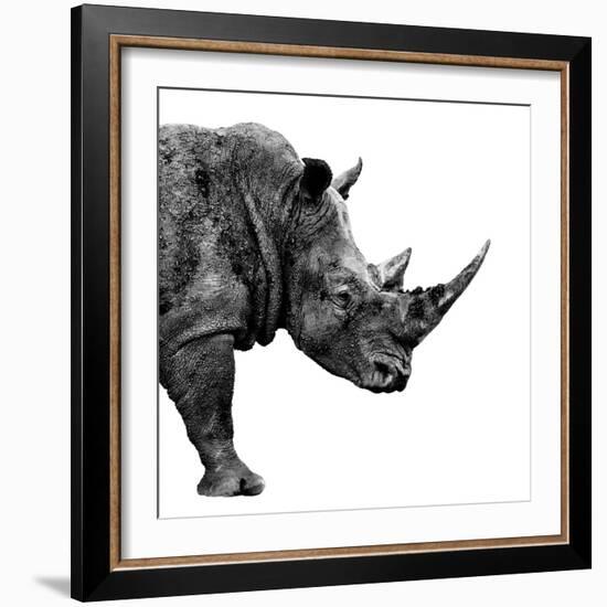 Safari Profile Collection - Rhino White Edition II-Philippe Hugonnard-Framed Photographic Print