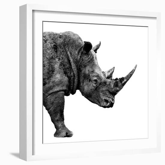 Safari Profile Collection - Rhino White Edition II-Philippe Hugonnard-Framed Photographic Print
