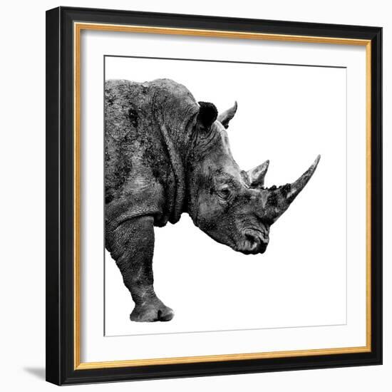 Safari Profile Collection - Rhino White Edition II-Philippe Hugonnard-Framed Photographic Print