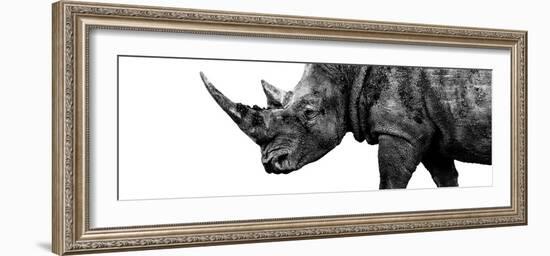 Safari Profile Collection - Rhino White Edition III-Philippe Hugonnard-Framed Photographic Print