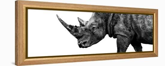 Safari Profile Collection - Rhino White Edition III-Philippe Hugonnard-Framed Premier Image Canvas