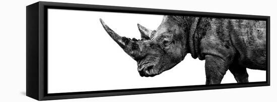 Safari Profile Collection - Rhino White Edition III-Philippe Hugonnard-Framed Premier Image Canvas