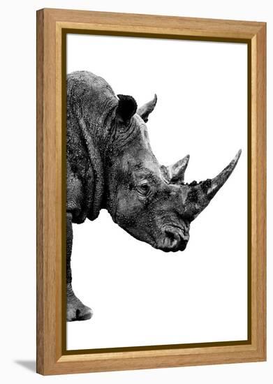 Safari Profile Collection - Rhino White Edition IV-Philippe Hugonnard-Framed Premier Image Canvas