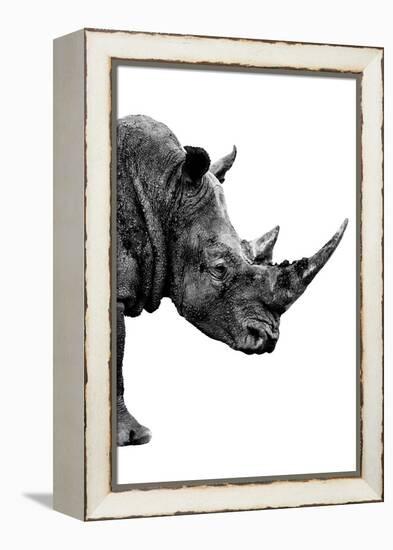 Safari Profile Collection - Rhino White Edition IV-Philippe Hugonnard-Framed Premier Image Canvas