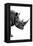 Safari Profile Collection - Rhino White Edition IV-Philippe Hugonnard-Framed Premier Image Canvas