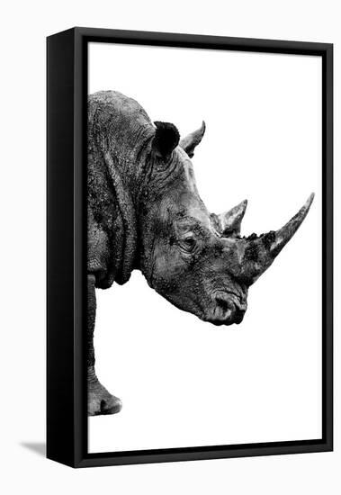 Safari Profile Collection - Rhino White Edition IV-Philippe Hugonnard-Framed Premier Image Canvas