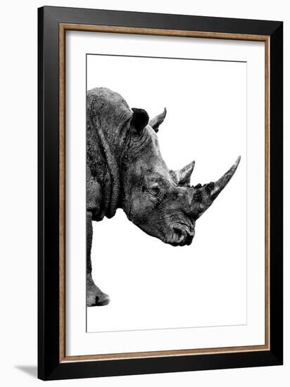Safari Profile Collection - Rhino White Edition IV-Philippe Hugonnard-Framed Photographic Print