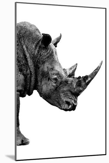 Safari Profile Collection - Rhino White Edition IV-Philippe Hugonnard-Mounted Photographic Print