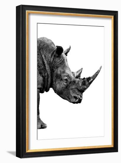 Safari Profile Collection - Rhino White Edition IV-Philippe Hugonnard-Framed Photographic Print